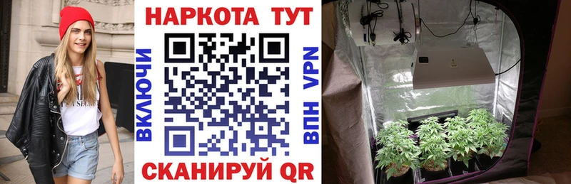 Названия наркотиков Кинель Марихуана  A PVP  МЕФ 