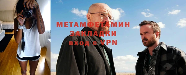прущие грибы Медногорск