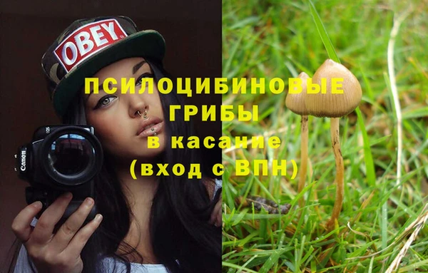 прущая мука Навашино