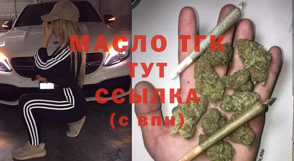 дживик Надым