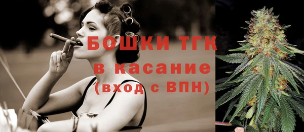 дживик Надым