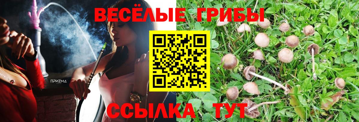 Псилоцибиновые грибы Magic Shrooms  купить наркоту  Псилоцибиновые грибы GOLDEN TEACHER  Кинель  Вход с VPN 