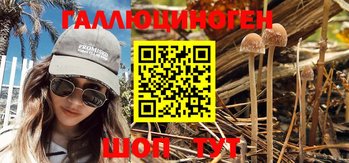Галлюциногенные грибы ЛСД Кинель