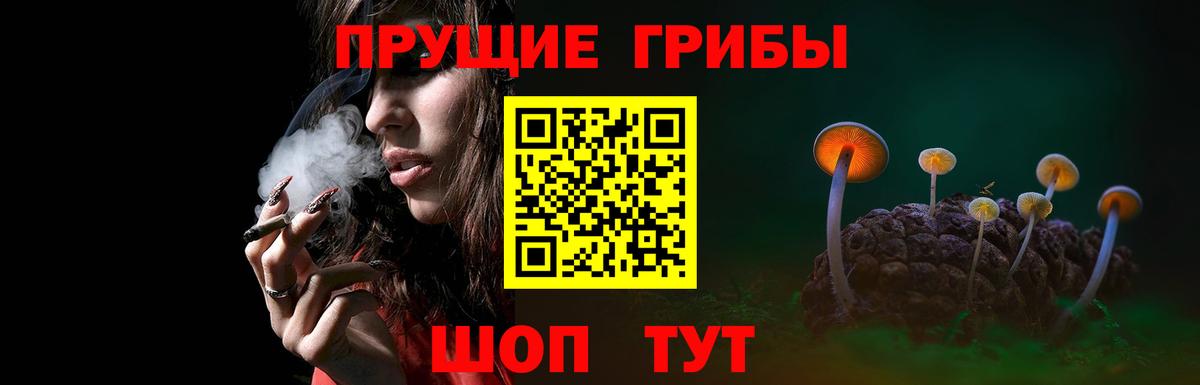 Псилоцибиновые грибы Magic Shrooms Кинель